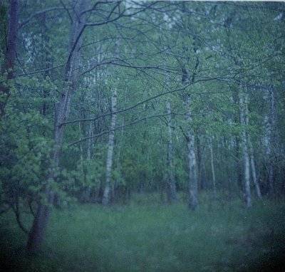 peene03.jpg